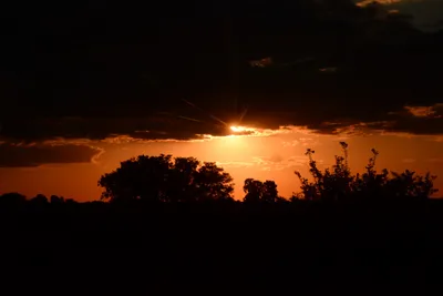 DSC_9732 (Large).JPG